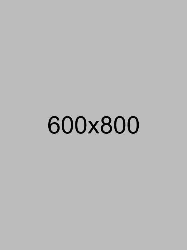 Website Design